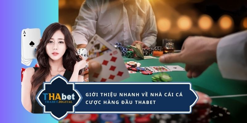 Giới thiệu nhanh về nhà cái cá cược hàng đầu Thabet