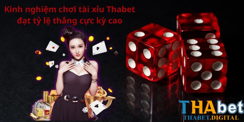 Kinh nghiệm chơi tài xỉu Thabet đạt tỷ lệ thắng cực kỳ cao