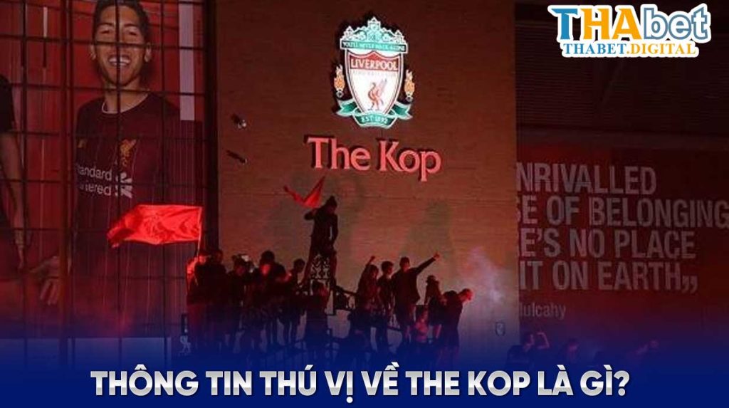 Thông tin thú vị về The Kop là gì?